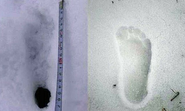Tror de har funnet avskyelig snømann-spor